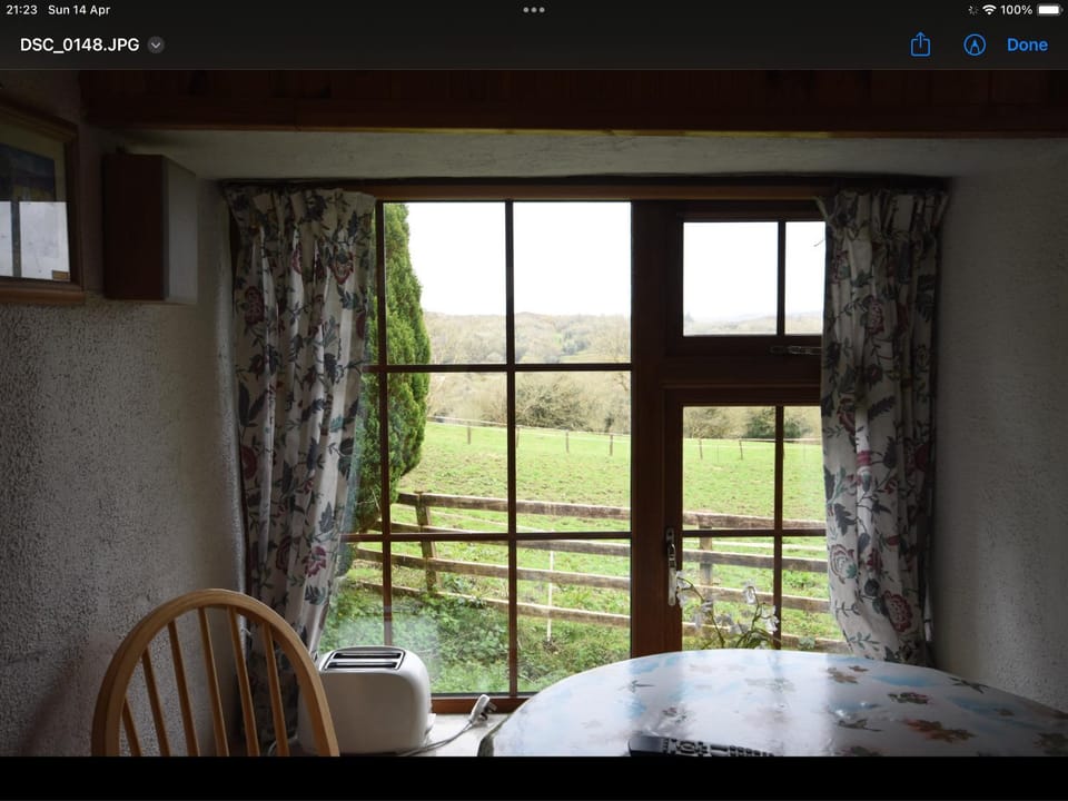 View (from property/room), Dining area