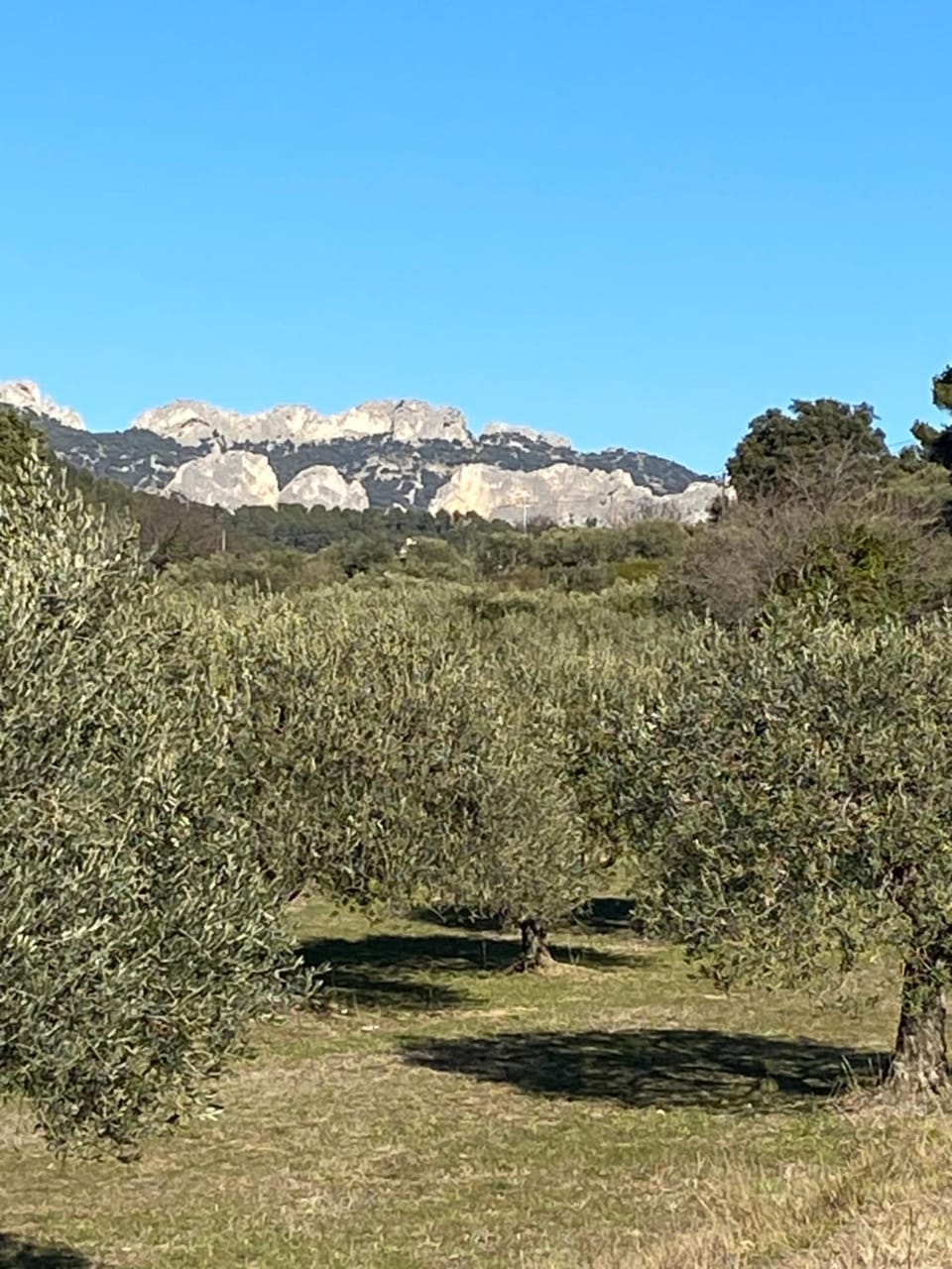 Villa cosy pour 8 Pers avec piscine, dentelles de Montmirail, Ventoux Provence Villa in Carpentras