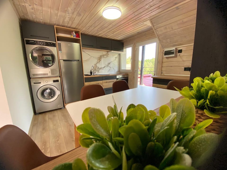 Kitchen or kitchenette, kitchen