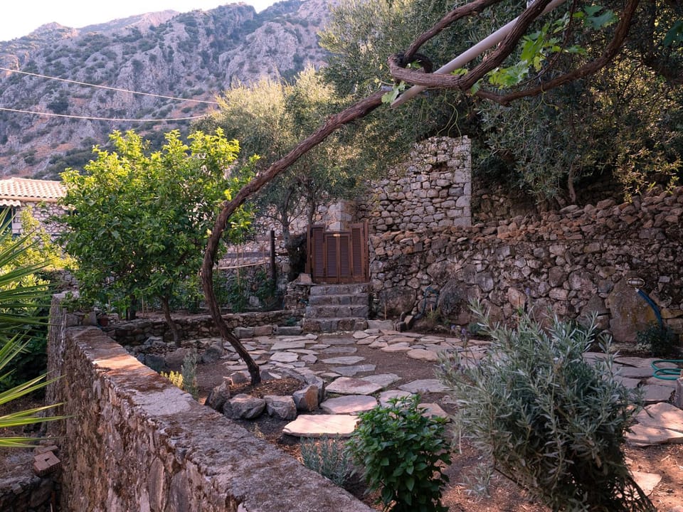 Garden, Inner courtyard view