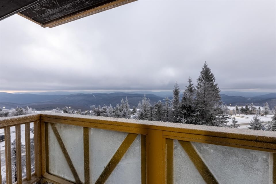 RF 312-313 2BR Ski-InOut Village Center Sleeps 8 Apartment in Snowshoe