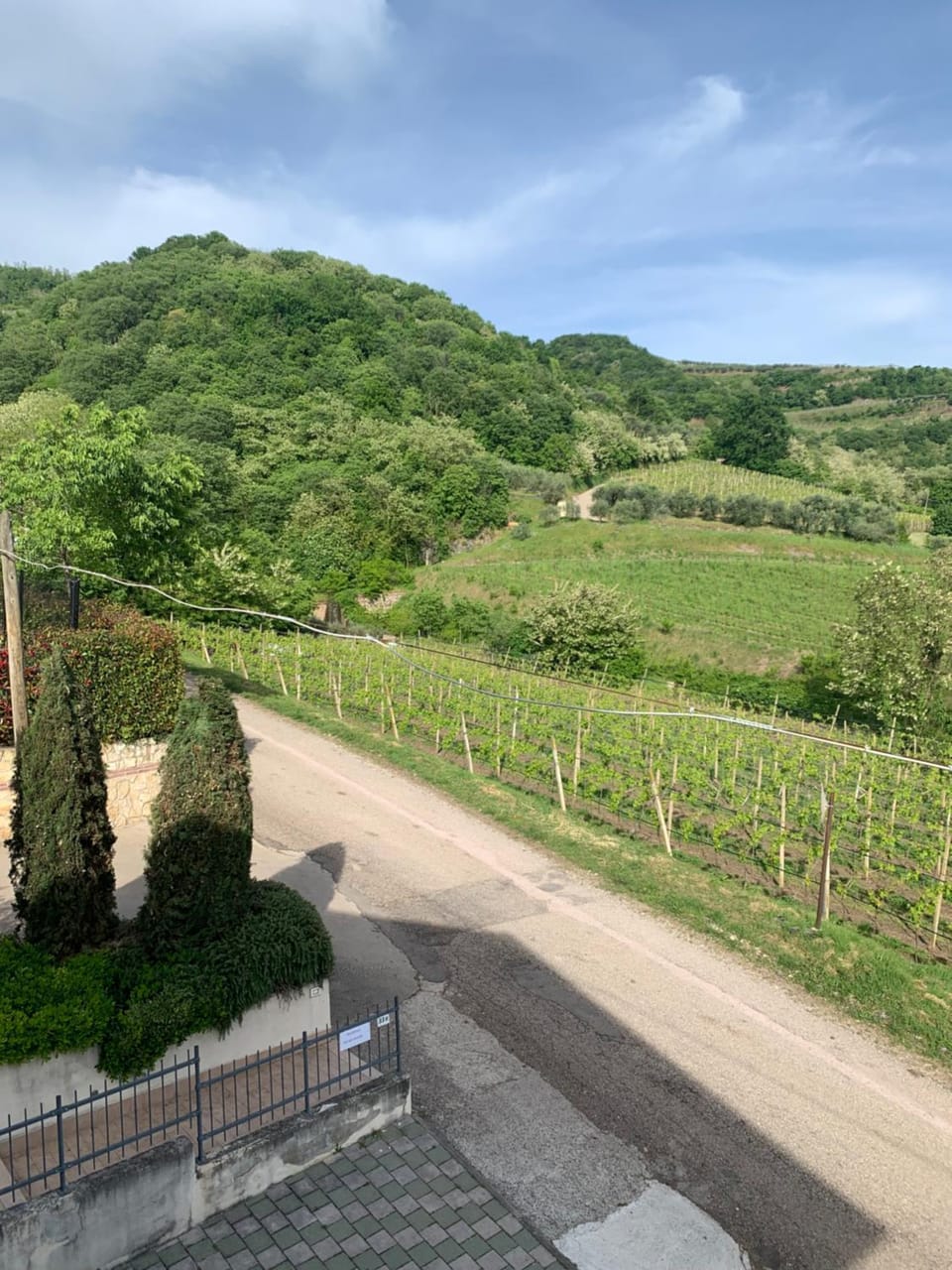 Residenza Viti del Durello Locazione turistica Apartment in Veneto