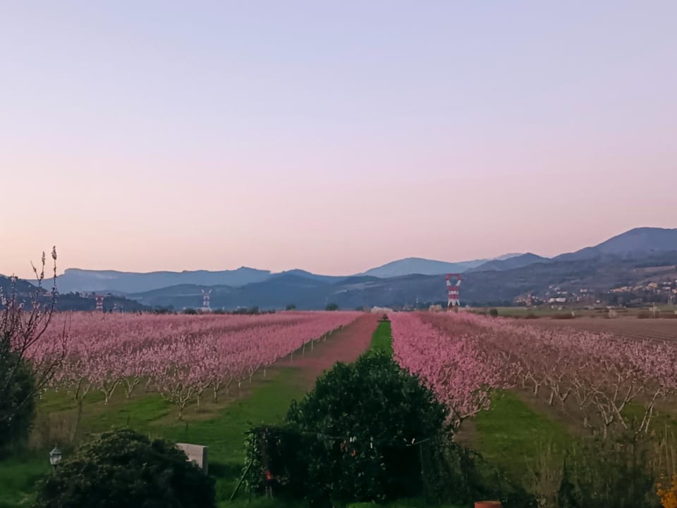 Spring, Natural landscape, Mountain view, Sunset