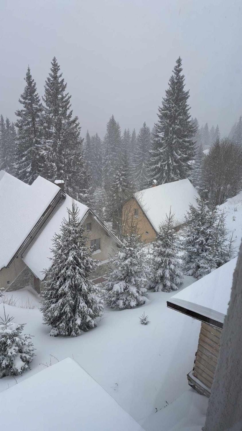 Cabana Hora Bed and Breakfast in Romania