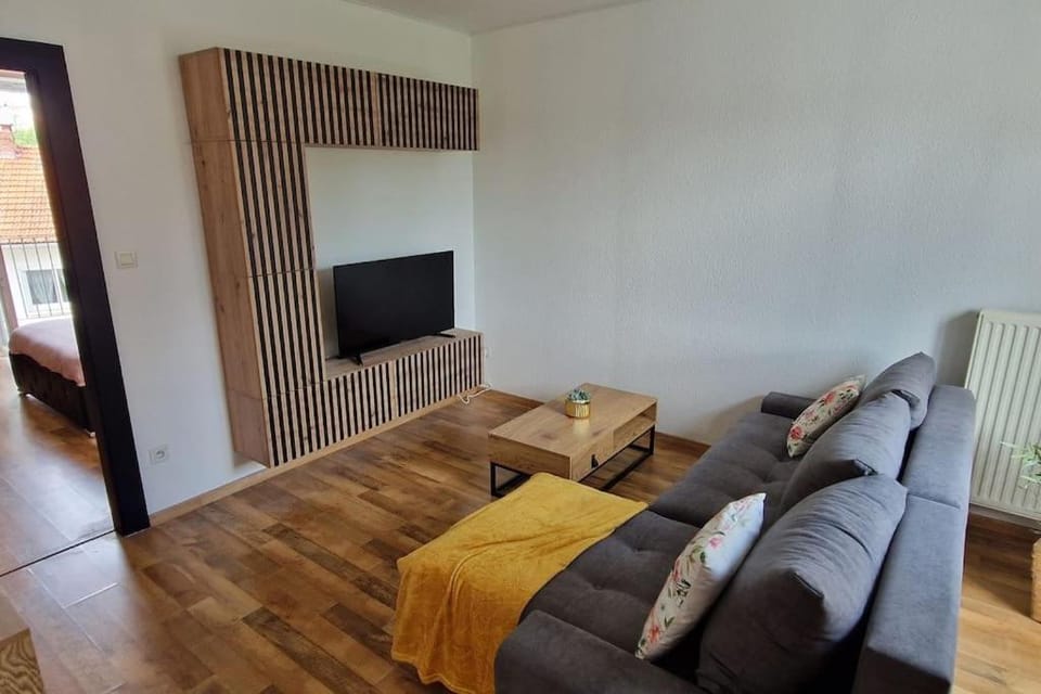 Le Petit Colin 1er Apartment in Pontarlier