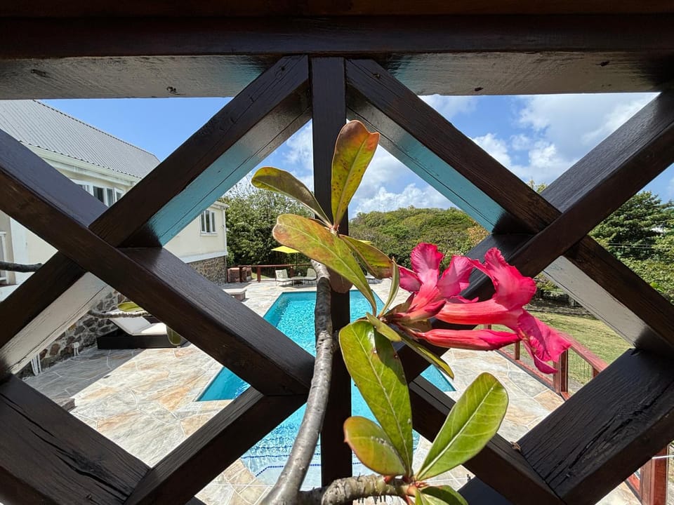 Balcony/Terrace, Pool view