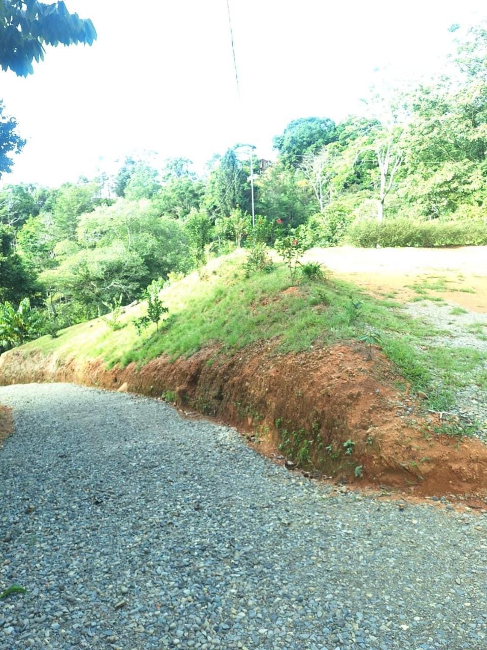 Natural landscape