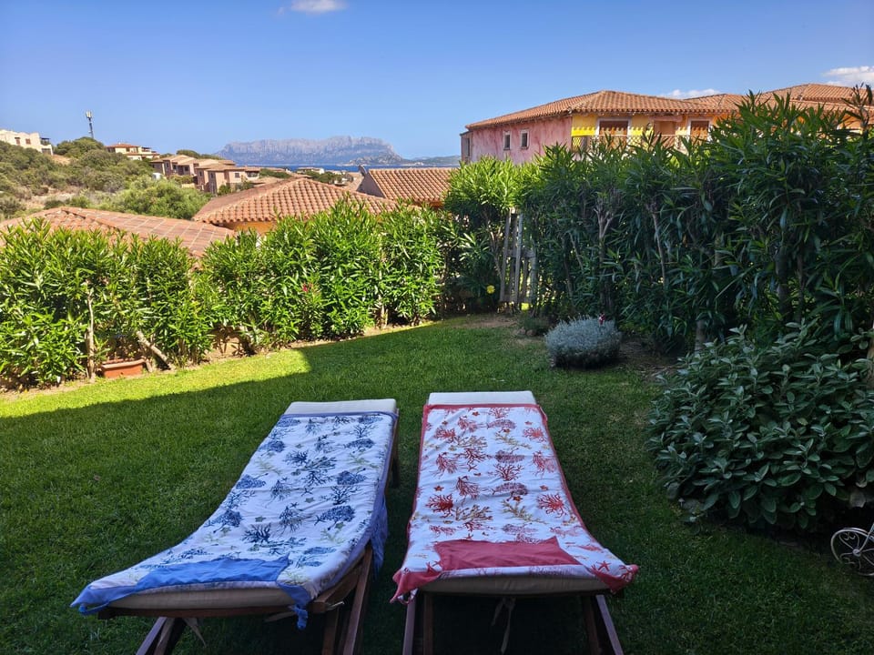 Garden, Garden view, sunbed