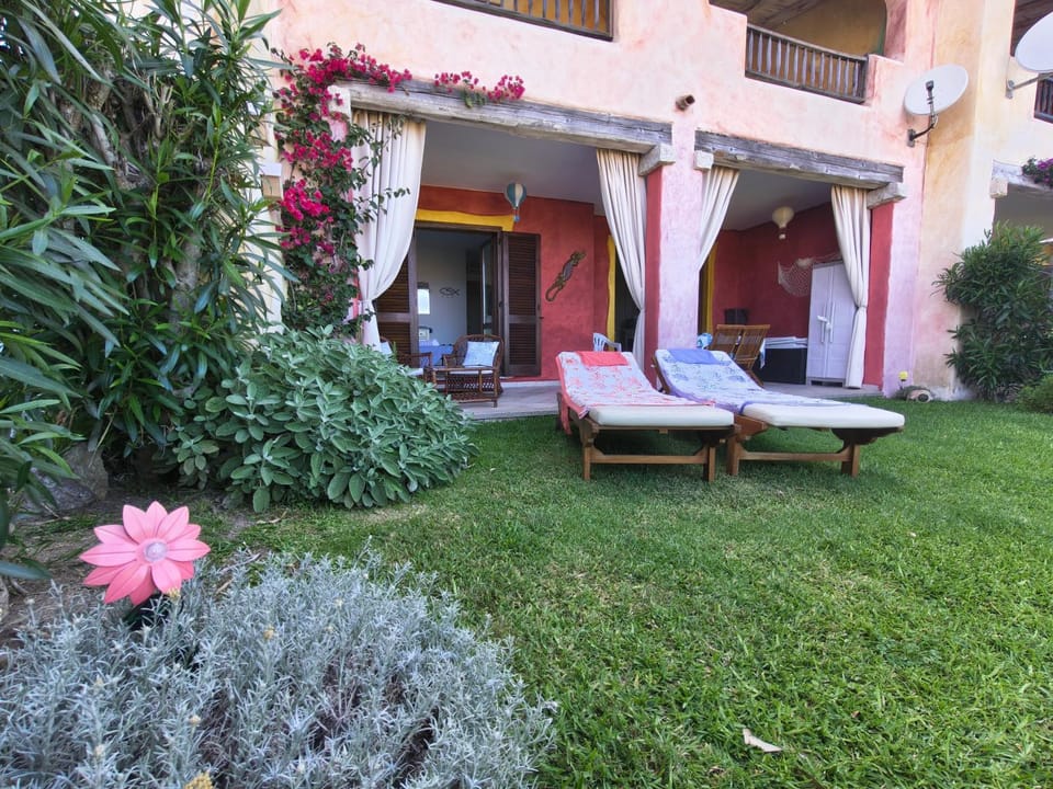 Garden, Garden view, sunbed