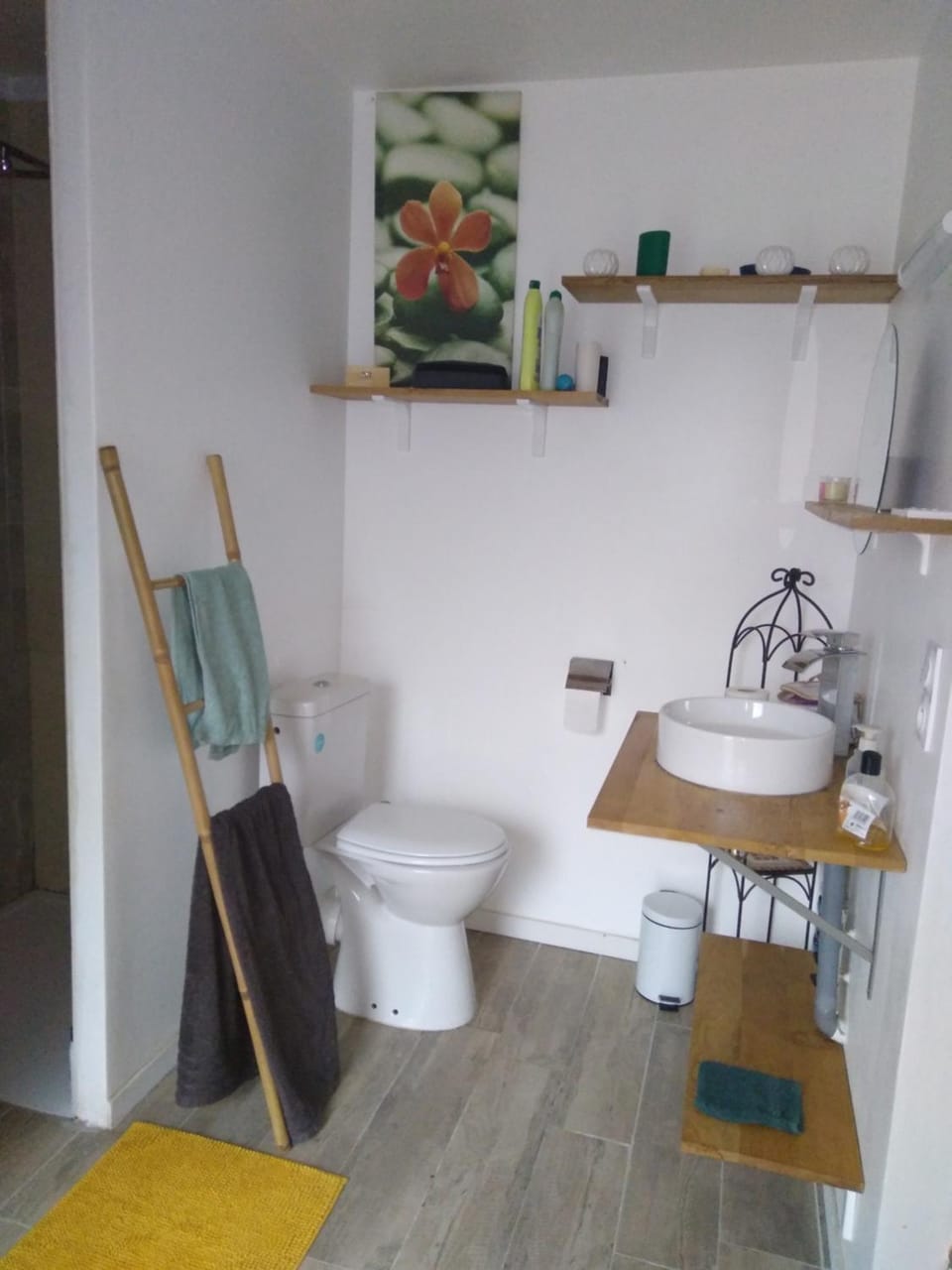 Toilet, Bathroom