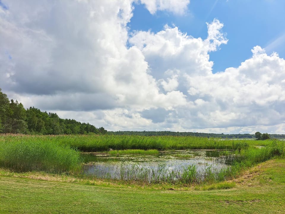 Day, Lake view