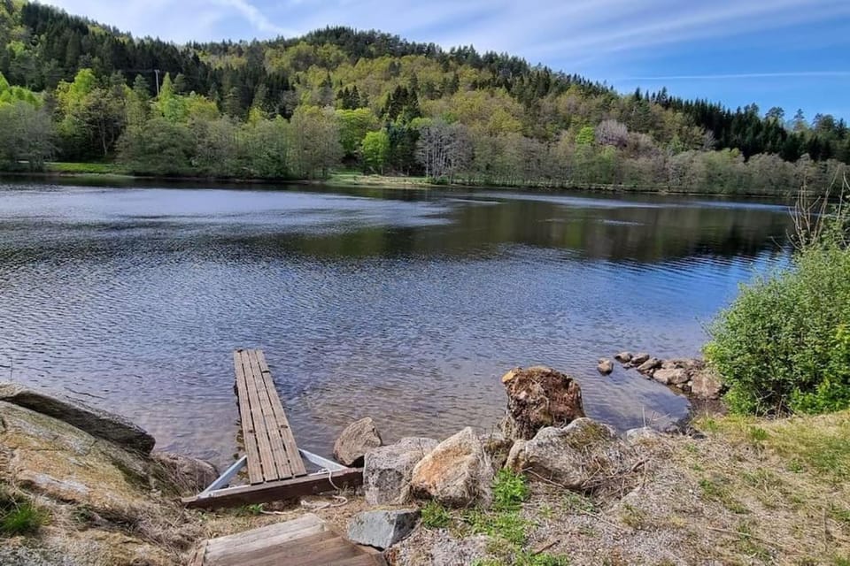 Natural landscape, River view