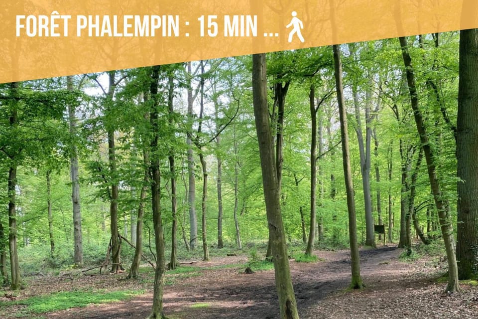 Day, Natural landscape