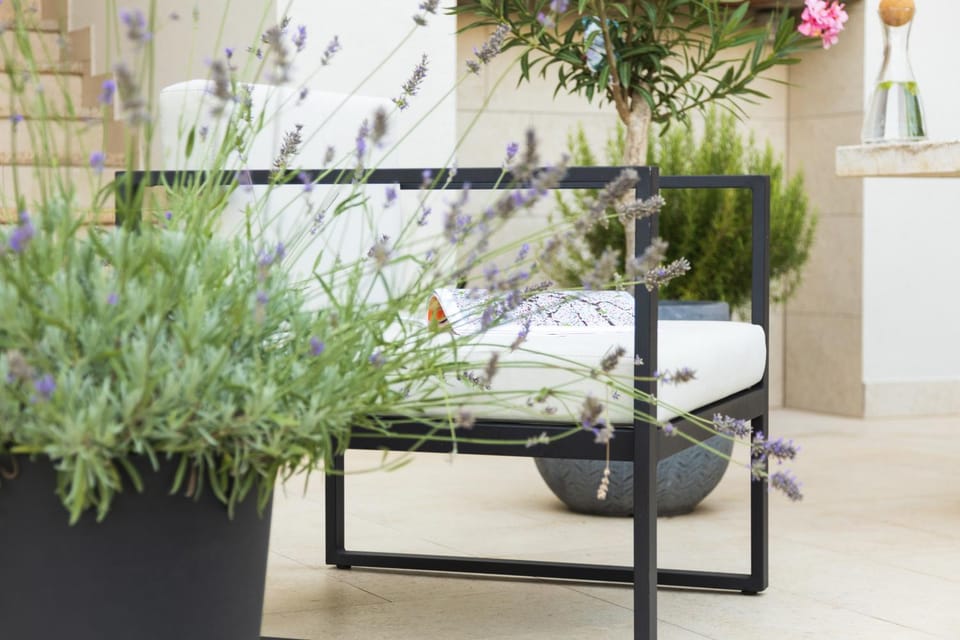 Day, Summer, Garden view