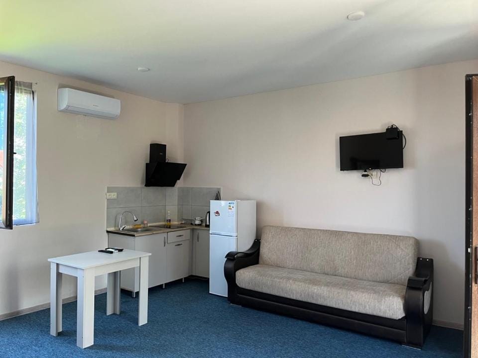 Simple studio Bed and Breakfast in Adjara, Georgia