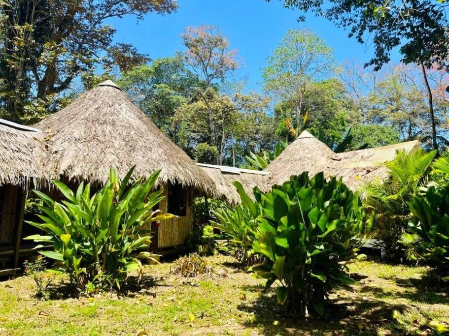 Tiki-Ti Tahitian Style Bungalows House in Panama