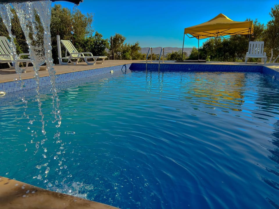 Day, Pool view, Swimming pool, sunbed
