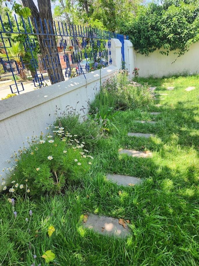 Spring, Day, Natural landscape, Garden, Garden view