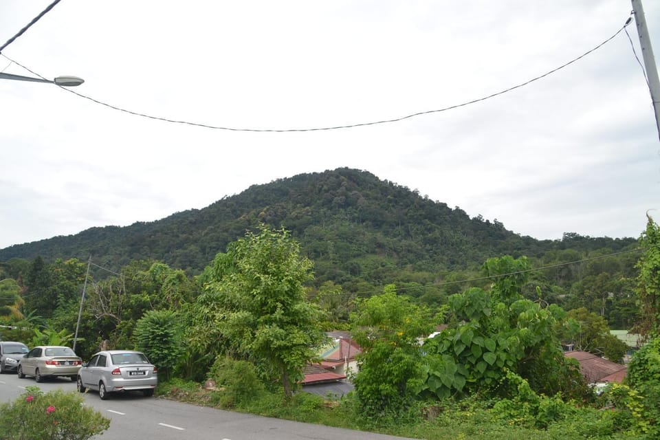 Mountain view