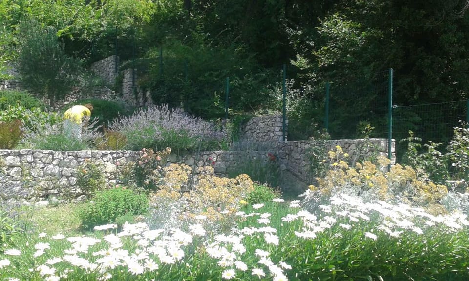 Nearby landmark, Summer, Garden