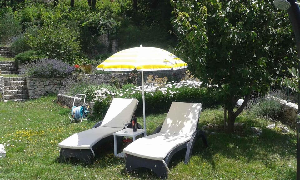 Summer, Garden, sunbed