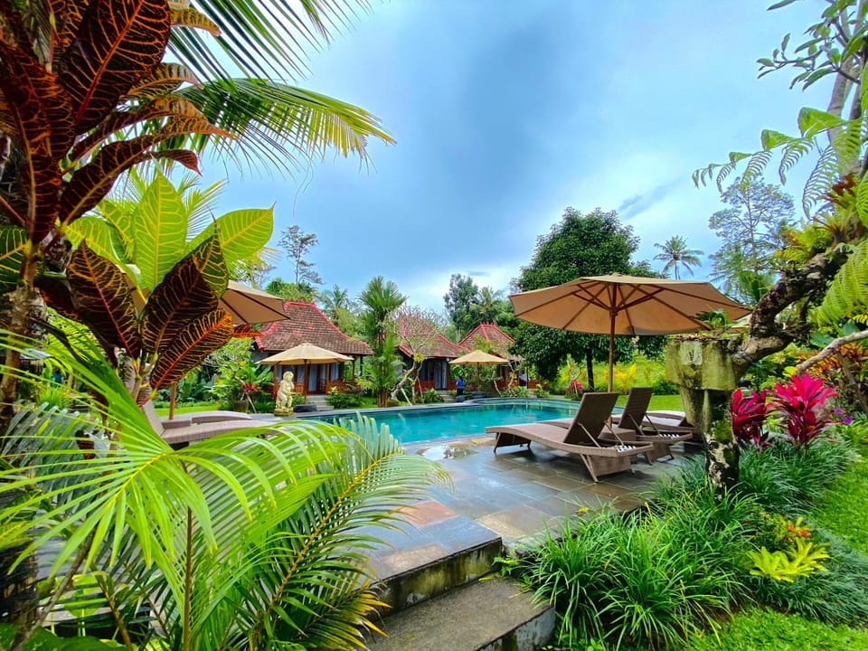Garden, Garden view, Pool view, Swimming pool, sunbed
