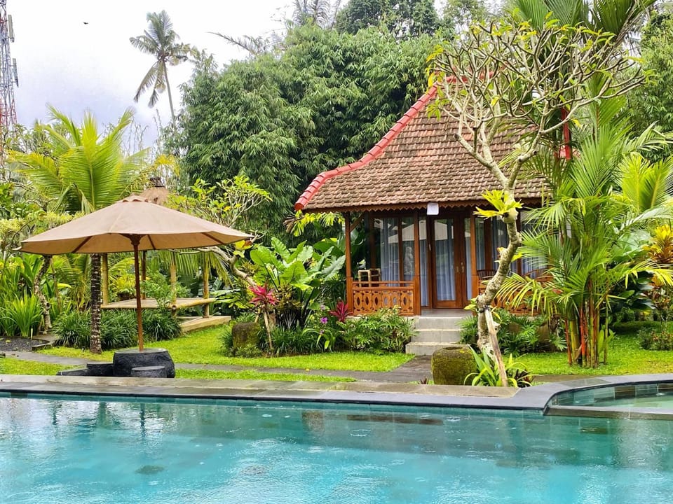 Property building, Garden, Swimming pool