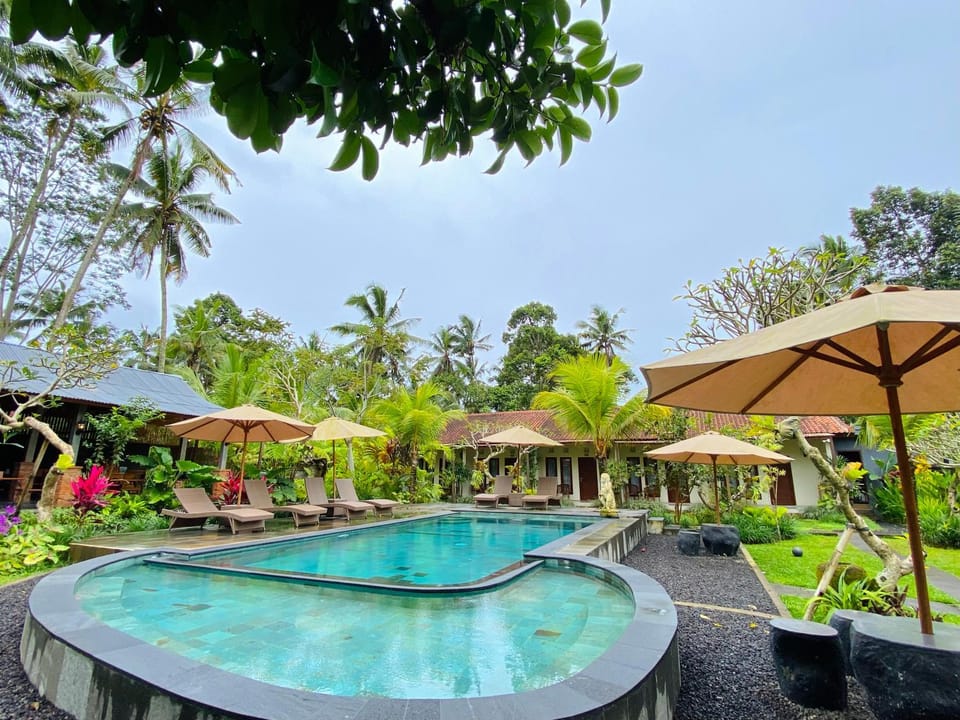 Garden, Garden view, Pool view, Swimming pool, sunbed
