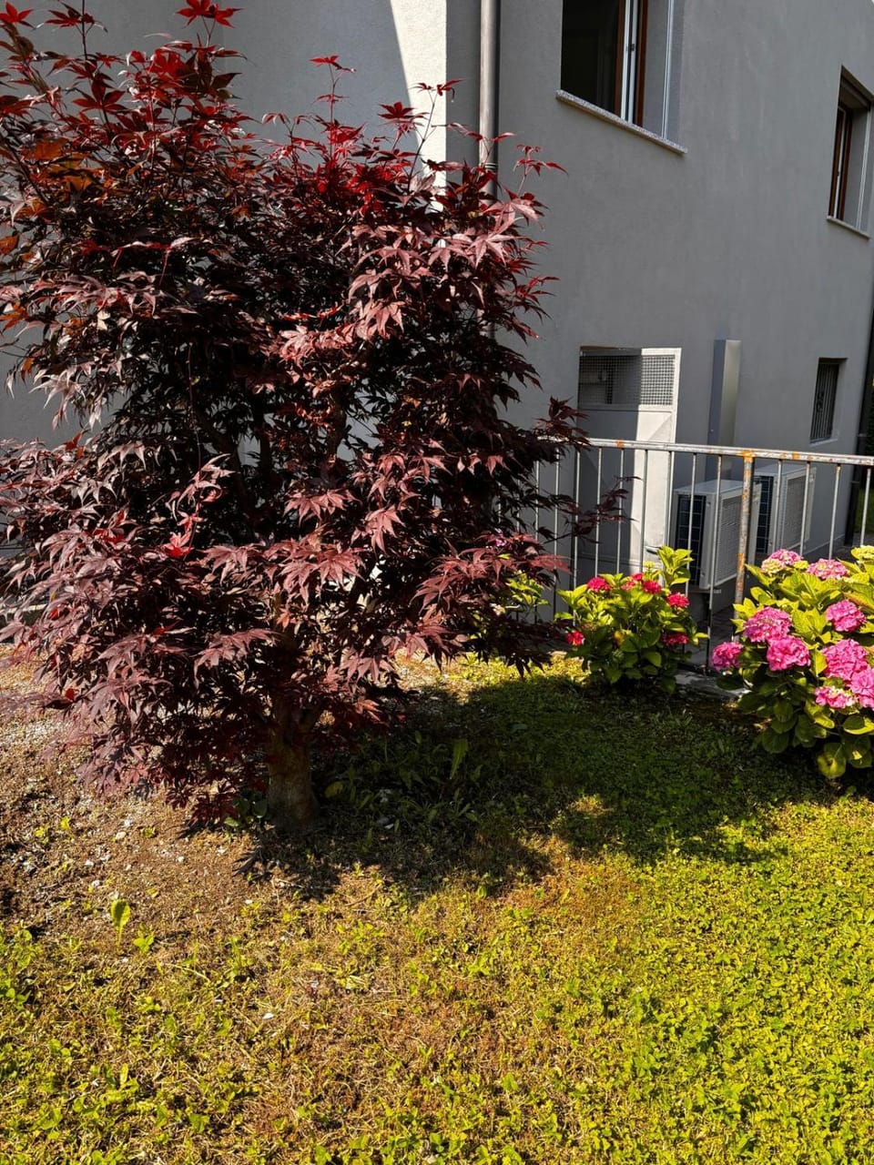 Property building, Spring, Garden, Garden view