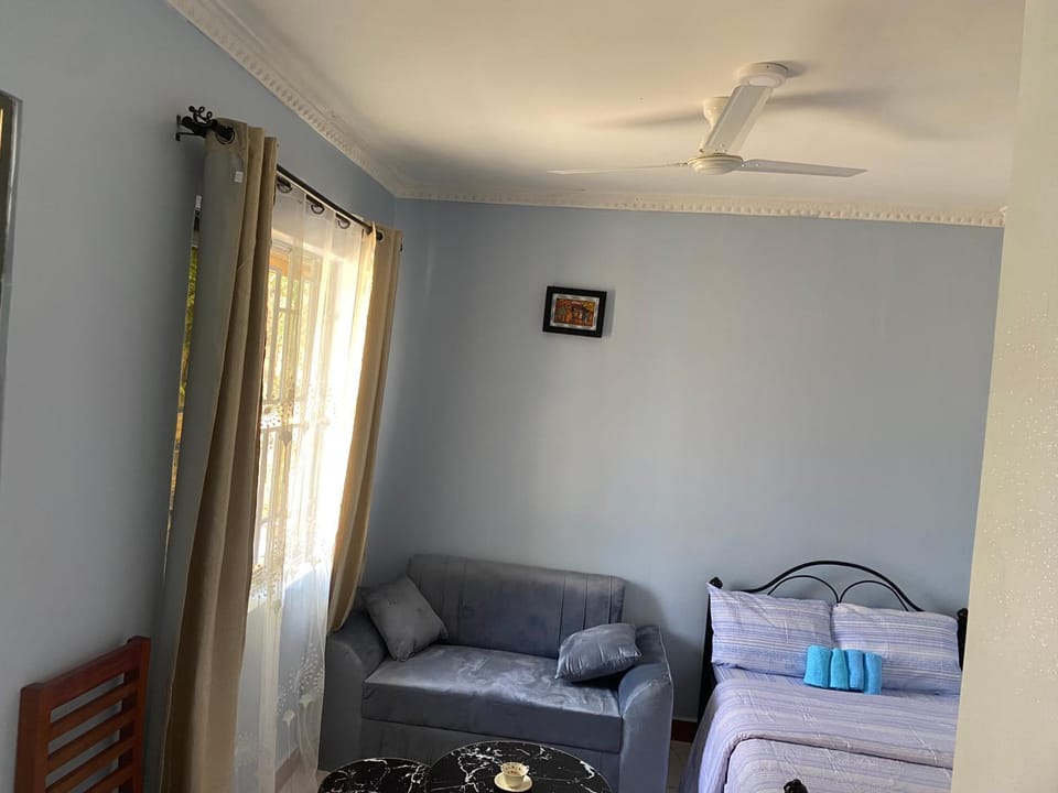 Anne studio & Home stay Apartment in Tanzania