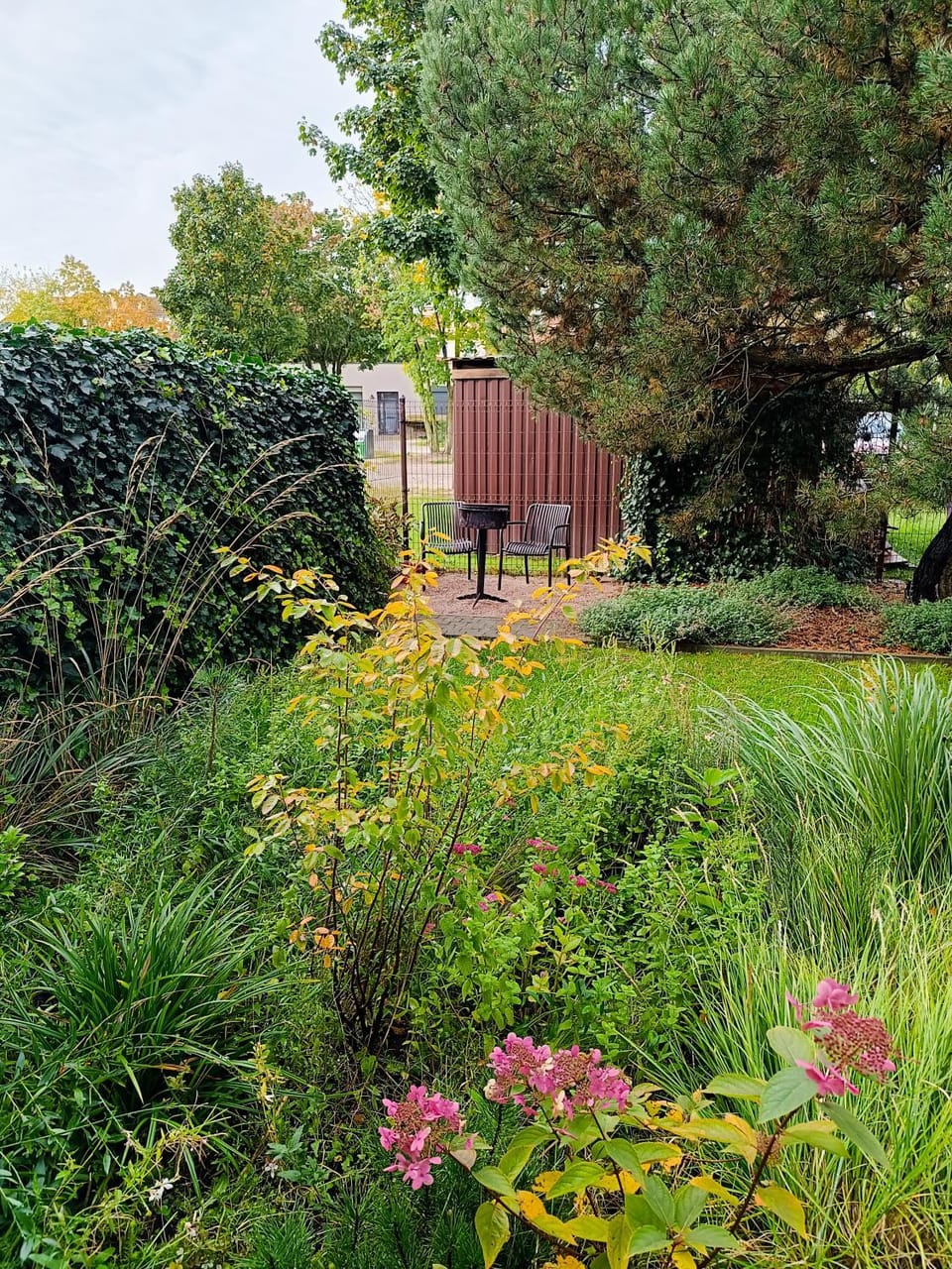 Day, BBQ facilities, Garden, Garden view