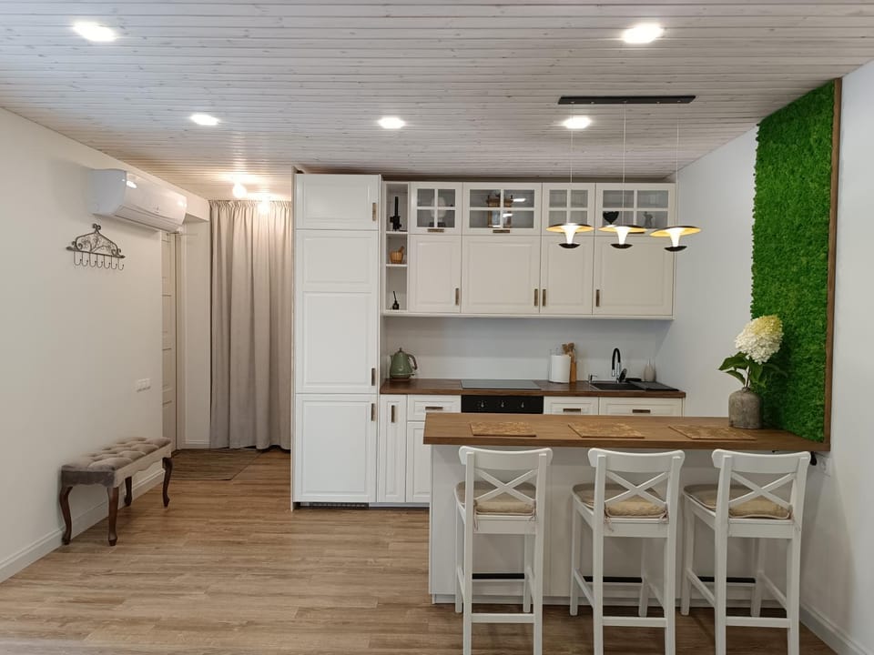 Kitchen or kitchenette, Dining area, stove