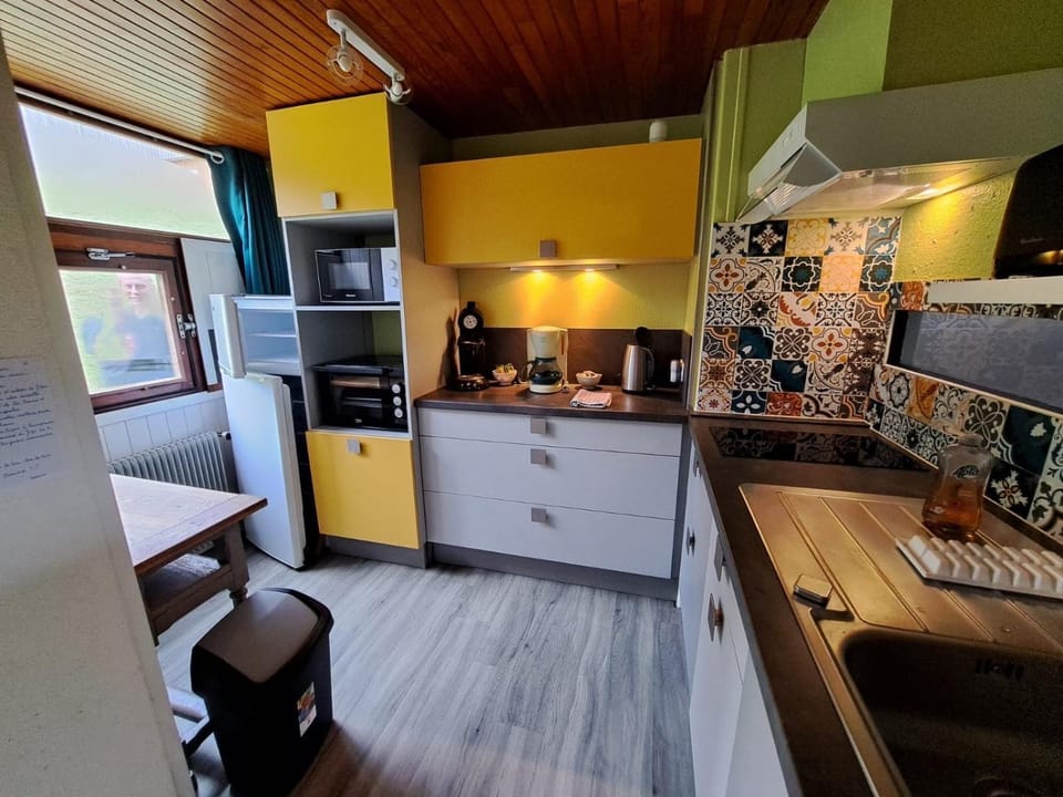 Appartement duplex avec vue sur le Sancy et garage couvert Apartment in Auvergne-Rhône-Alpes