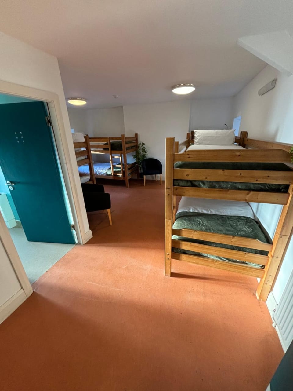 Bed, Photo of the whole room, Bedroom, bunk bed