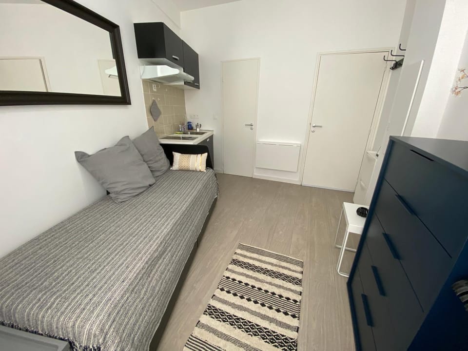 Bed, TV and multimedia, Kitchen or kitchenette, Living room, Photo of the whole room, Bedroom