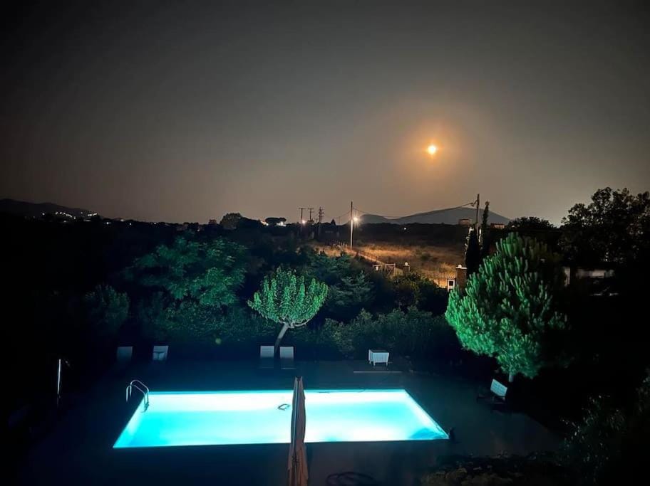 Night, Swimming pool