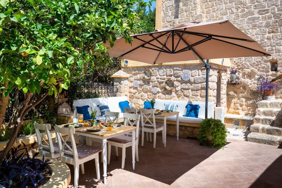 Patio, Day, Garden, Food and drinks, Breakfast