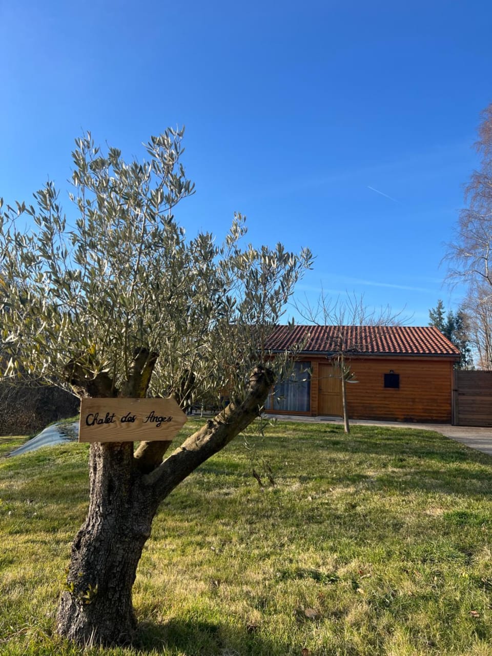 Property building, Spring, Day, Garden, Garden view