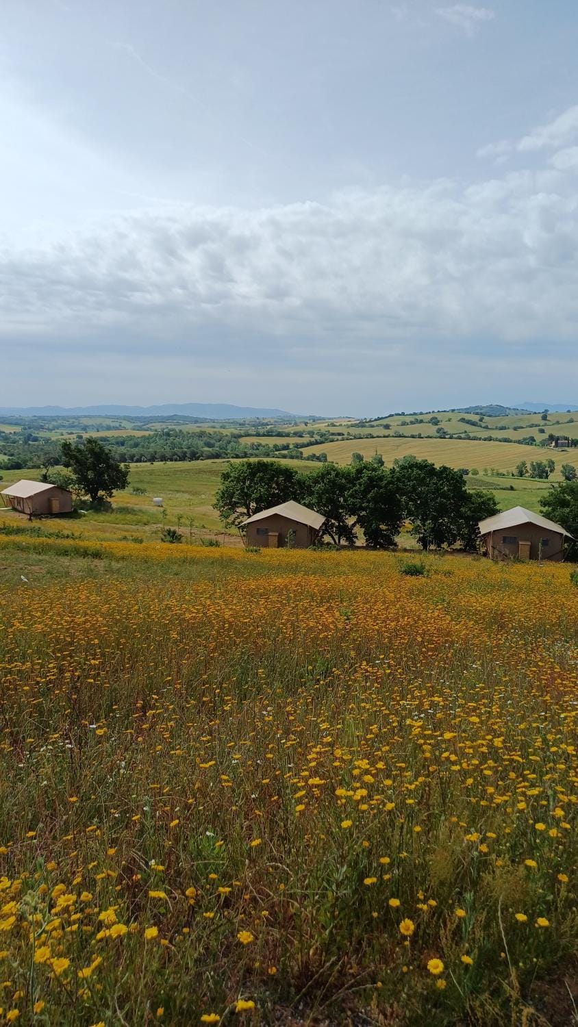 Natural landscape
