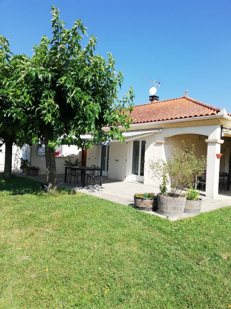Property building, Day