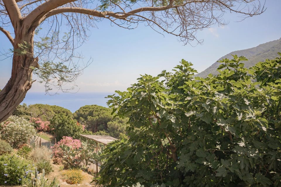 Nearby landmark, Sea view