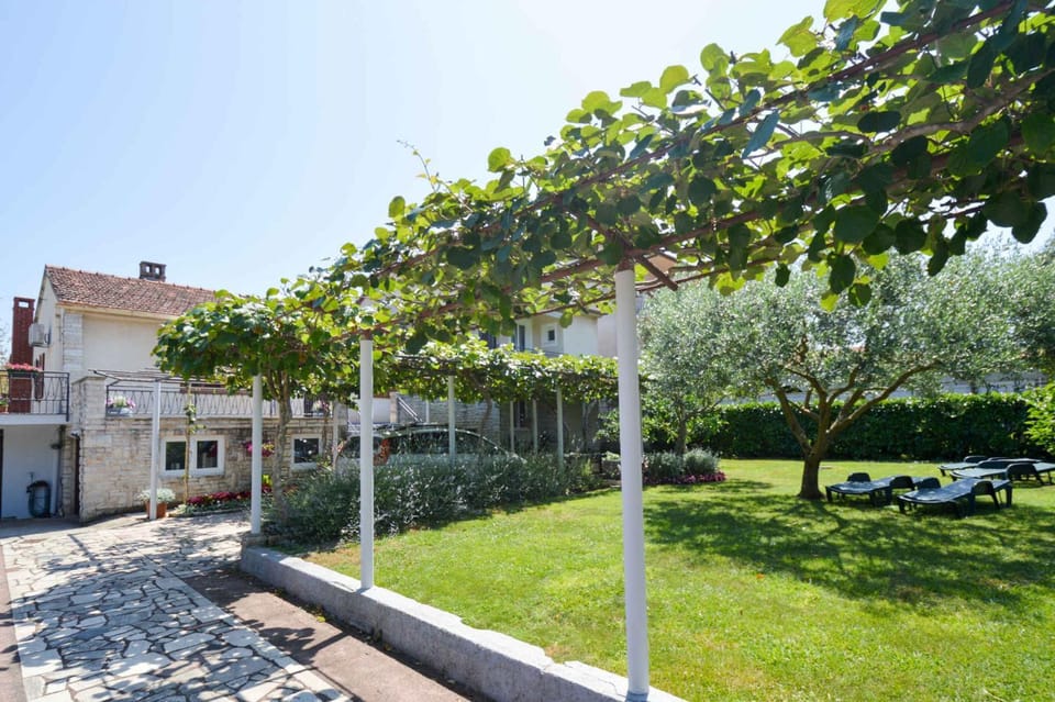 Property building, Summer