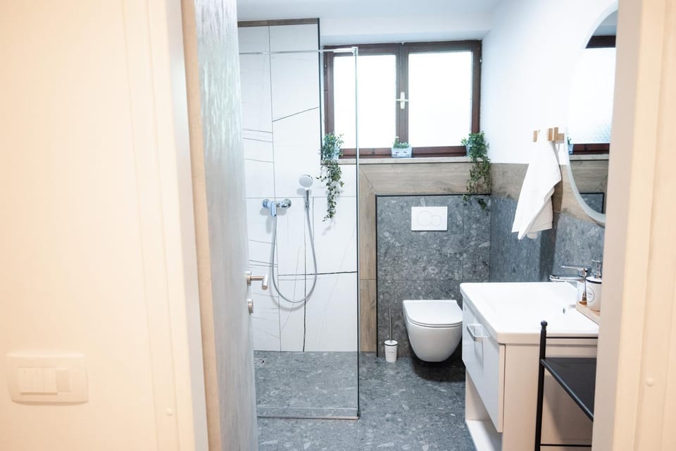 Shower, Toilet, Bathroom, towels