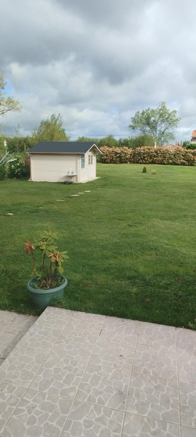 Garden view