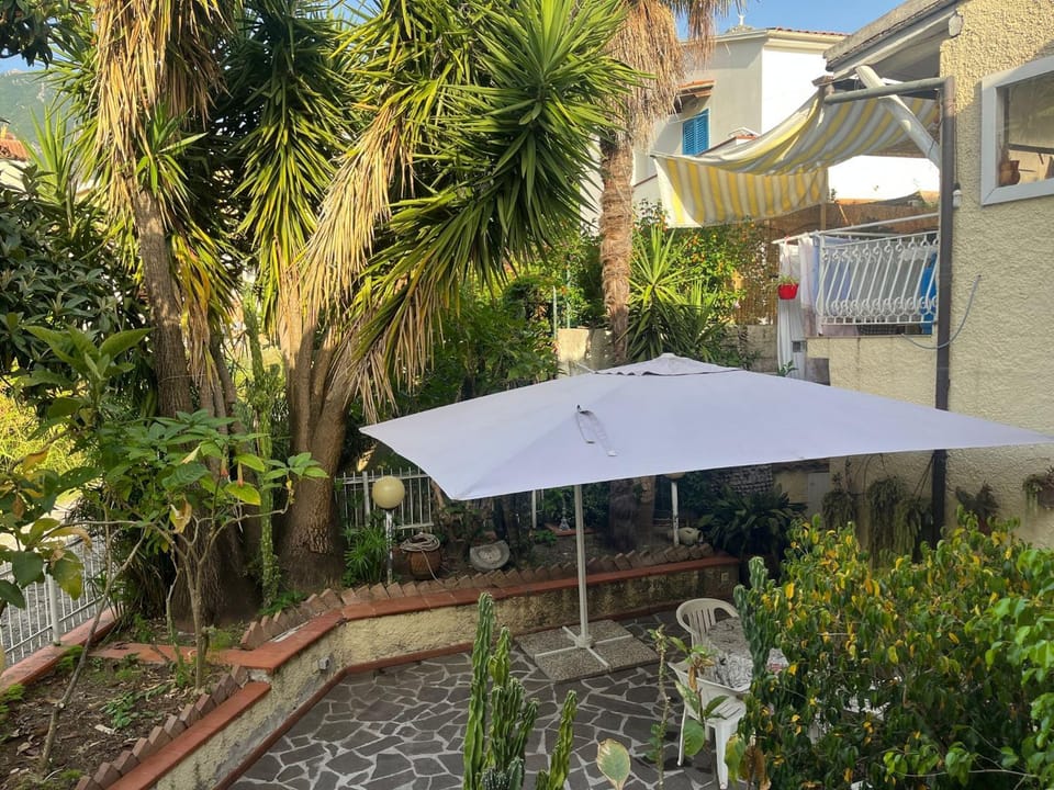 Property building, Garden, Garden view