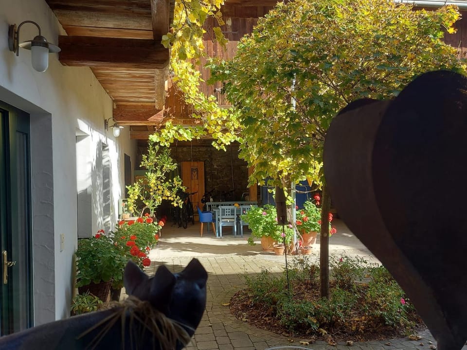 Loftartige Wohnung in Scheibbs mit Schwimmteich Apartment in Austria