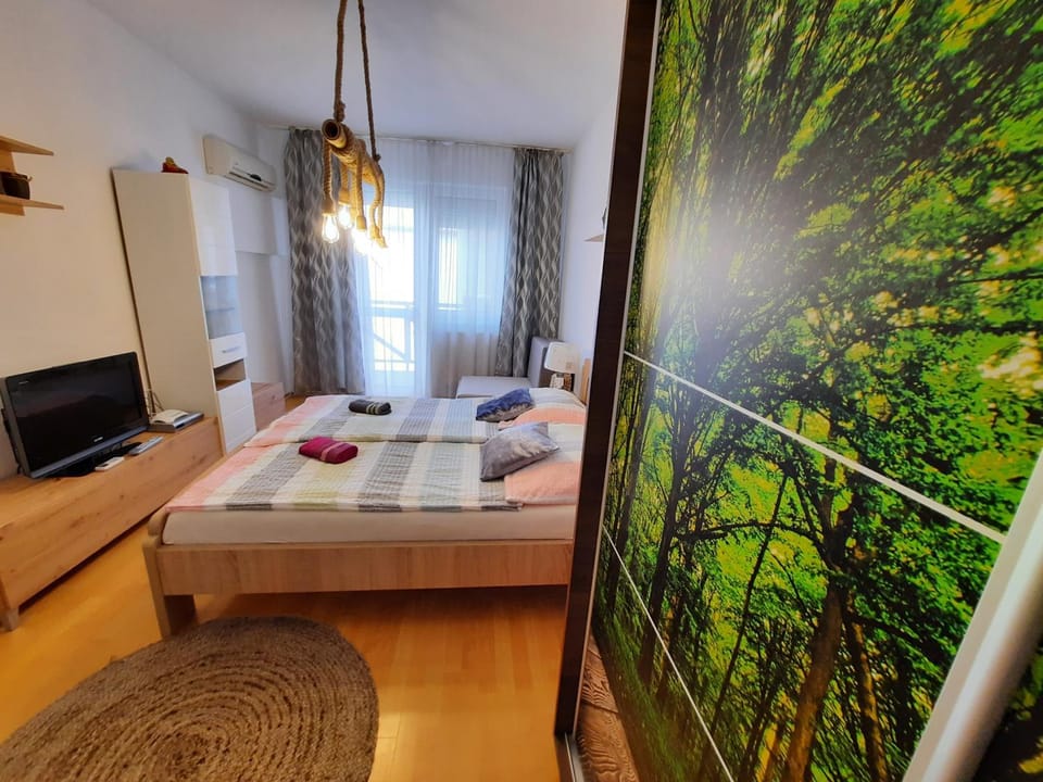Zöld Béka Apartmanok Kölcsey II Apartment in Hungary