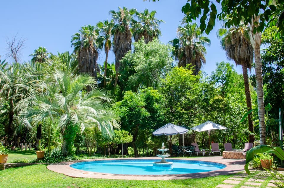 Garden, Pool view, Swimming pool, sunbed