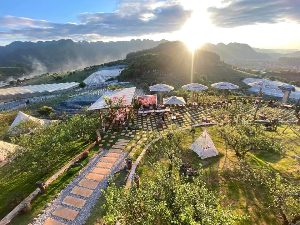 Green farm home & coffee Luxury tent in Vietnam