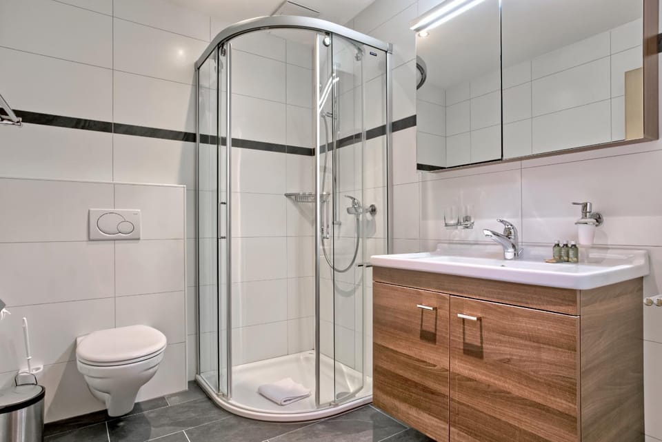 Shower, Toilet, Bathroom, towels